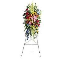 For The Service Image